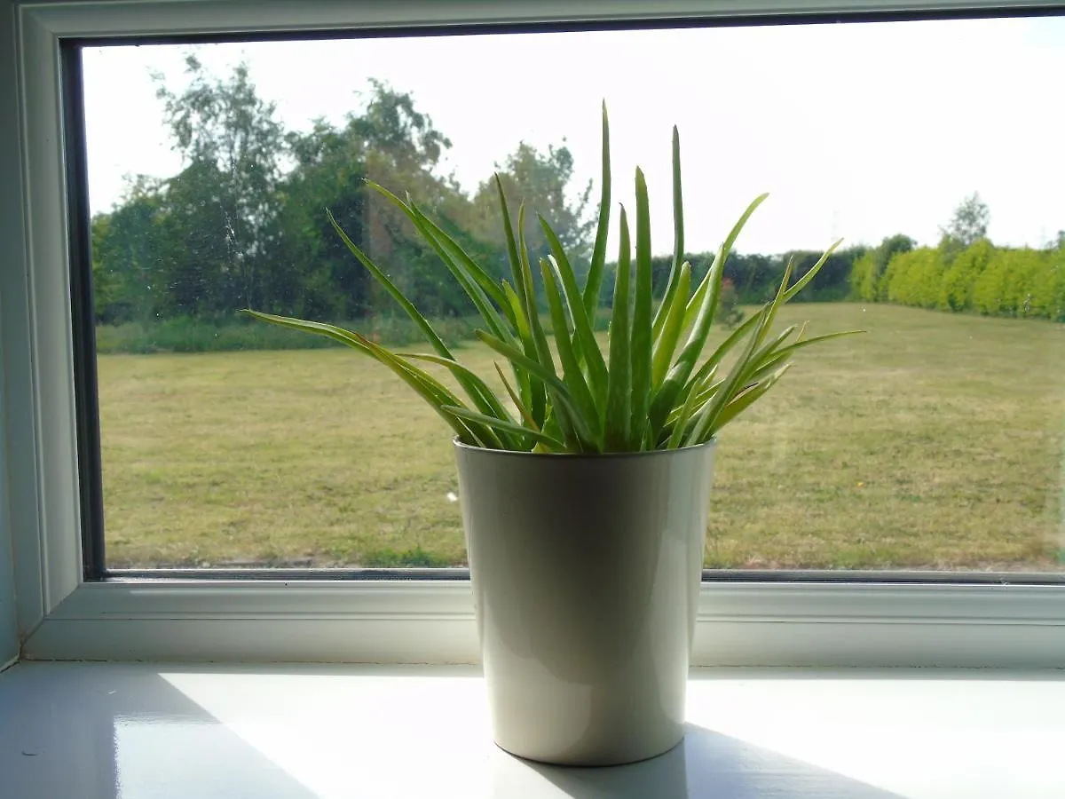 Holiday home The Retreat Villa York